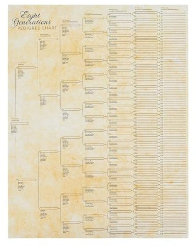 Tableau généalogique à remplir, tableau généalogique compact de 8 générations, tableau d'ascendance vierge
