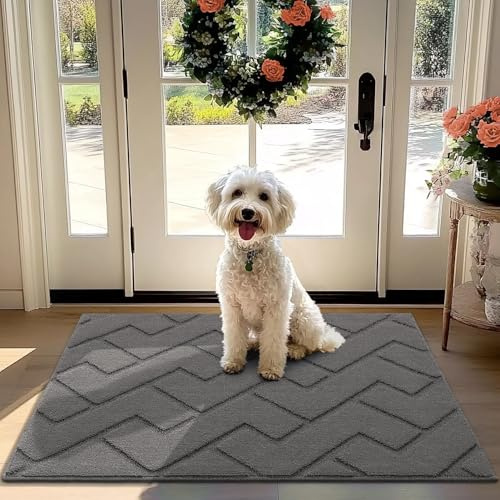 hicorfe Front Door Mat Outside Entrance,32x40 Absorbent Muddy Dirt Resist Welcome Door Mats Outdoor Indoor,Stain and Fade Resistant,Non Slip Backing Entry Mat Doormat for Entryway(Grey)