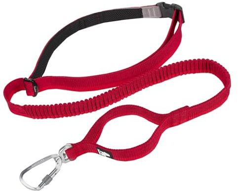 TRUE LOVE Longue Laisse de Chien élastique Mains Libres Ajustable Absorbant Les Chocs TLL2271 (Rouge, M)