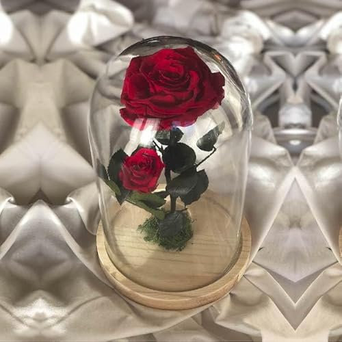 Desayunos a la carta Rosa Bella y Bestia. Flores Naturales eternas en cúpula de Cristal (Bella y Bestia - Mamá)