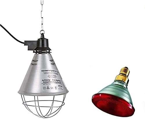 Montidistribuzione Kit Lampada a Raggi Infrarossi Riscaldante da 150 W + Riflettore Portalampada con Griglia di Protezione, Catena per Il Fissaggio e Cavo da 2.5m