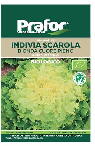 Hortus Semi prafor indivia scarola bionda Cuore Pieno bio