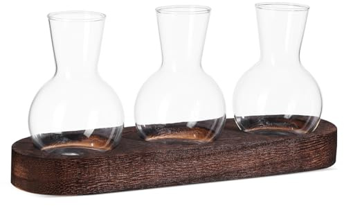VICASKY Glasanzuchtstation Mit Holzsockel Klare Blumenvase Für Hydrokulturpflanzen Tischvase Für Schreibtisch Und Wohnzimmer Anzuchtpflanzgefäß Für Pflanzen Und Dekoration