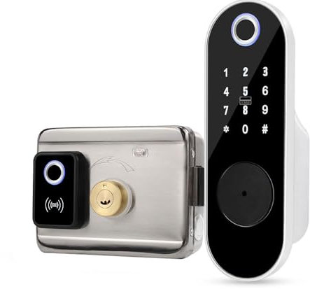 FTes RFKits Serratura per Porta con Impronta Digitale, Serratura per Tastiera Senza Chiave con Ingresso Chiave, Password Anti-scavo, Serratura Antifurto Intelligente