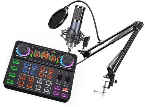 NONGYU Microfono a condensatore portatile di tipo C e scheda audio che offrono in tempo reale facile da usare per live streaming riunioni online microfono a condensatore