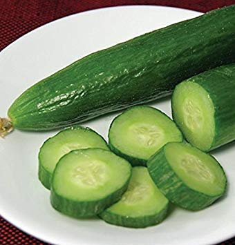 Potseed Germination Les graines: 100 - Graines: Concombre - Beth Alpha - Concombre Très Doux Pas 'Ends Bitter' !! Livraison Gratuite!!!