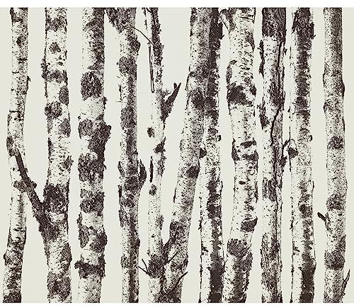 murando - Vlies Fototapete Natur 400x280cm Foto tapete Schlafzimmer Wohnzimmer Vliestapete XXL Wandtapete Motivtapeten 3d Effekt Wand Dekoration - Bäume Birke Wald Abstrakt Birkenwald b-A-0701-a-b