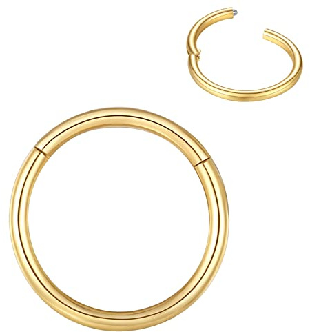 BLESSMYLOVE Nasenring Hoop 316L Chirurgenstahl Knorpelohrring Septum Clicker Ring 0,8 mm 1,0 mm 1,2 mm 1,6 mm 2,0 mm Edelstahl Klappbarer Segmentring Lippenring Conch Daith Helix Rook Tragus Lobe Snug Ear Body Piercing Schmuck