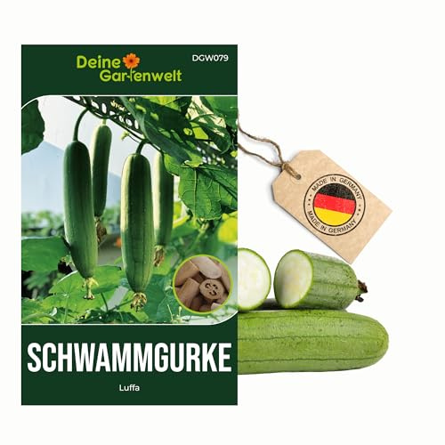 Schwammgurke Luffa Samen - Luffa cylindrica - Gurkesamen - Gemüsesamen - Saatgut für 6 Pflanzen – 5er Pack