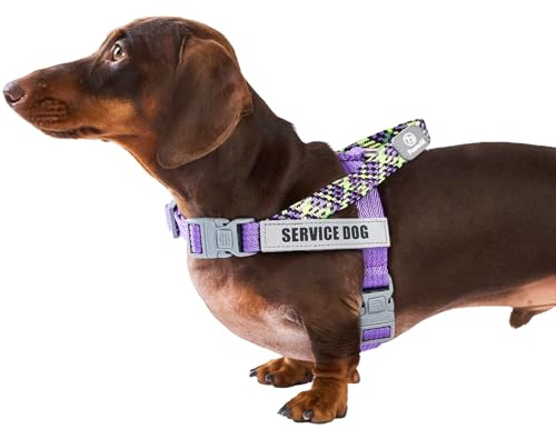 Paworld Hundegeschirr, Diensthundegeschirr, Norwegergeschirr Hund, Sicherheitsgeschirr mit 4 reflektierenden Aufnähern, Verstellbar, Griff, für Spaziergänge, Training und Laufen (Lila, S)