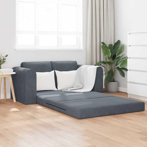 Amorsee Schlafsofa Sofa Kleines Bodensofa Schlafsofa Klappbar 148x71x83 cm Sofabett aus Velvet Couch 2 Sitzer für Wohnzimmer Schlafzimmer Dunkelgrau
