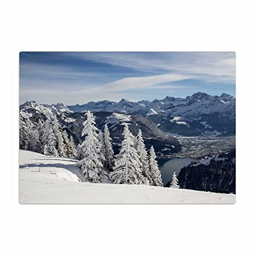 Vero Home 18733 Glas-Schneidebrett | Motiv Natur Winterlandschaft | rutschfest, kratzfest und lebensmittelecht | Maße: 39 x 29 cm