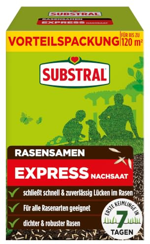 Substral Rasensamen Express Nachsaat 2,4kg 120m² schnelle Rasenreparatur | Erste Keimlinge nach 7 Tagen | Schließt Lücken schnell | Für dichten robusten Rasen