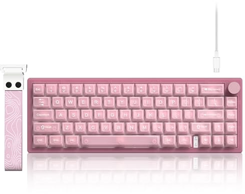 LQXQ VK66 PRO 60% Tastiera da gioco con cavo, VIA Creamy tastiera meccanica a caldo, RGB con supporto Gasket e cappucci trasparenti (Rosa)