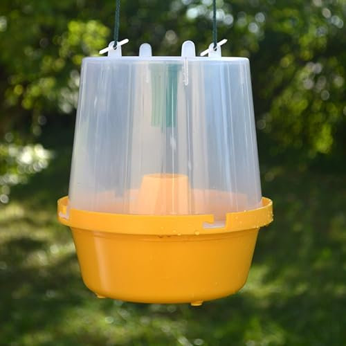 Piège à phéromone ou Attractif Contre Les Mouches des Fruits