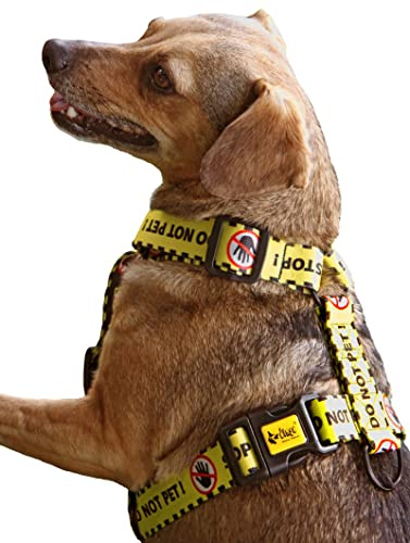 Dingo Waldemar Rutkowski Guardgeschirr, handgefertigt, verstellbar, recyceltes Material, Schwarz/Gelb mit Warntext DO NOT PET für sicherere Spaziergänge mit dem Hund, Größe S (95377)