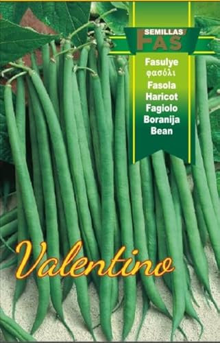 Fagiolo Nano VALENTINO, Confezione da 2500 Semi