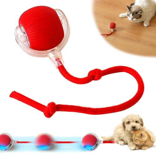 Funmo Giocattolo Interattivo per Gatti con Palla, Giocattolo Silenzioso per Gatti Auto Occupati, Giocattolo Interattivo per Gatti con USB, Palla da Gioco Automatica 360° per Gatti e Cani (Rosso)