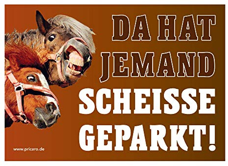 PRICARO Scheisse geparkt Flyer Pferde, A6, 50 Stück