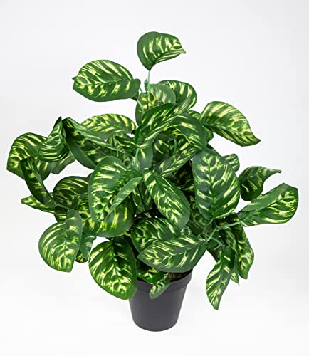 Seidenblumen Roß Calatheapflanze 38cm grün-gelb im Topf ZJ Kunstpflanzen künstliche Calathea Pflanzen Peacock