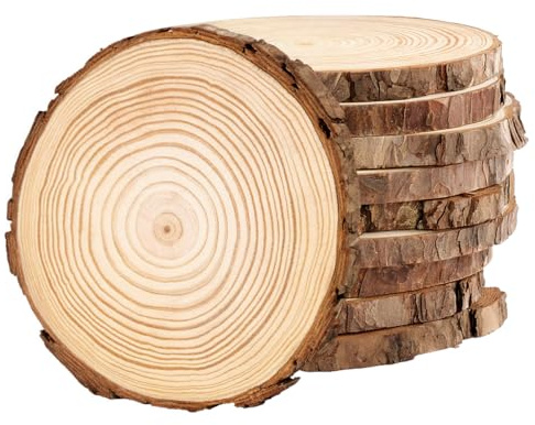 Philorn 10 pcs Rondin de Bois Deco 13-14cm de Diametre sans Trou, Dessous de Verre Naturel Bois Rond, Disque Rondelles en Bois, Tranches de Planche Bois Brut pour Pyrograveur Mariage Noël Decoration