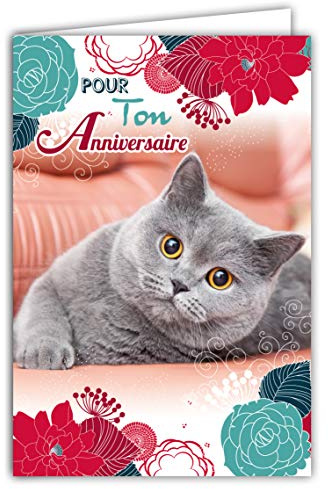Afie 67-1115 Carte Pour Ton Anniversaire Chat Gris Doux Fleurs Bleues Rouges Roses Fabriqué en France