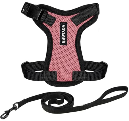 Voyager Step-in Lock Katzengeschirr und reflektierende Katzenleine mit Neoprengriff by Best Pet Supplies - Unterstützt kleine, mittlereund große Katzenrassen, Rosa / Schwarzer Rand, size XXXS - 1,5 m