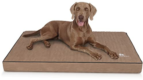 Knuffelwuff orthopädische Hundematte Palomino aus Laser-gestepptem Kunstleder XXL 115 x 80cm Camel - rutschfeste Unterboden - leicht zu reinigen - für große, mittelgroße und kleine Hunde