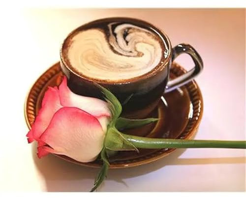 Aimaor Rosenkaffee Malen Nach Zahlen Erwachsene Ohne Rahmen DIY Handgemalt Ölgemälde Leinwand Malen Nach Zahlen Kits mit Pinseln und Acrylfarben Kunsthandwerk für Zuhause Dekor - 60x75cm