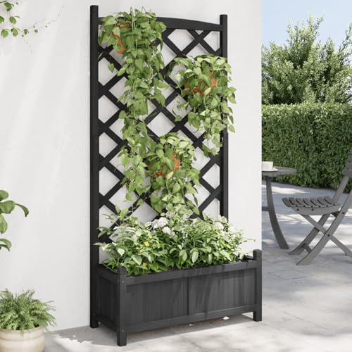 Festnight Pflanzkasten mit Rankgitter 75x35x150 cm Pflanzkübel mit Rankhilfe Blumenkasten Garten Hochbeet mit Rankgitter Blumenkübel Holz Spalier mit Pflanzkasten Rankkasten Terrasse