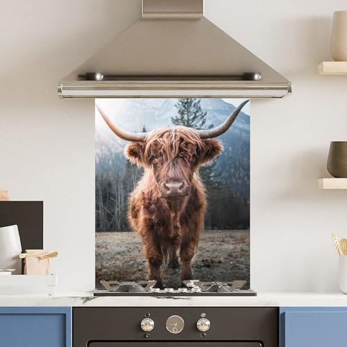 Premium 60 x 75cm Highland Cow 6mm Glass Toughtened Kitchen Splashback