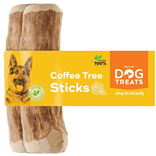 Natural Dog Treats – Natürlicher Kauknochen aus Kaffeeholz für Hunde und Welpen – Kauspielzeug aus Kaffeeholz – Größe L – 2U