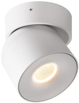 Aisilan LED Dimmable Ceiling Spotlight, Adjustable Directional Surface Flush Mount Lighting, Wall Spot Lights Indoor Accent Fixture for Art Picture Gallery Paintings, 3000K, White, 15W