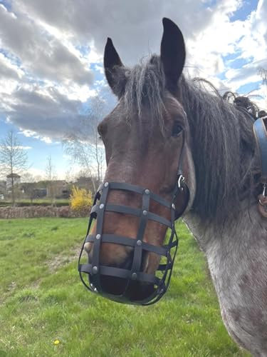 Heavy Horse Parts Fressbremse Strong EXTRA stabilen Bodenplatte mit kostenlosem Reparaturservice²