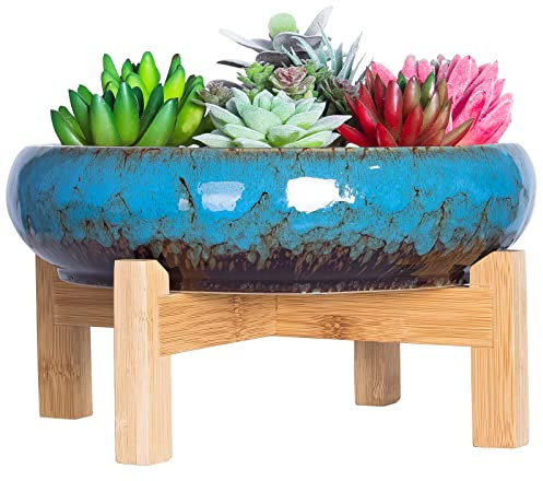 ARTKETTY Succulent Plant Pot - Large Bonsai Pot with Stand Shallow Cactus Plant Pot with Mess Drainage Screen, 25.4 CM Ceramic Flower Plant Container Bowl for Indoor/Outdoor (Blue)