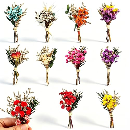 Kontazmi 10 ramos de flores secas naturales, mini ramo de flores secas, decoración para manualidades, álbumes de recortes, diario, álbum de fotos, decoración y cajas de regalo