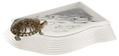 Gamelle d'eau pour tortues, gamelle pour tortues, pot de bain antidérapant pour tortues, pour reptiles, pot de bain multifonctionnel