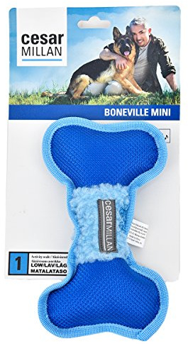 Offizielles Cesar Millan Boneville Kauspielzeug für Hunde und Leckerli-Spender (M)