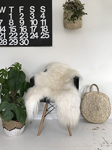 Nordic Hides And Skins Alfombra de piel de oveja islanda, tamaño grande, 120 cm x 90 cm, color blanco marfil