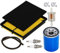 Carkio Luftfilter Vorreiniger Ölfilter Kraftstofffilter Linie Zündkerze Tune Up Kit für Honda GX610 GX620 GX670 GXV620 GX610KS 18 20 24HP ersetzt 17210-ZJ1-841 17210-ZJ1-842