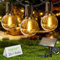 Yuusei Guirlande Solaire Exterieur 15M, IP65 étanche Guirlande Lumineuse Exterieure, avec 25+1 LED G40 Guirlande Guinguette | 4 Modes Lumiere Solaire Exterieur pour Jardin, Terrasse, Balcon, Camping