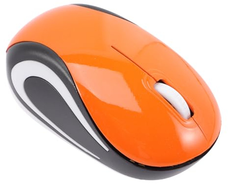FIXOSHEE Souris sans Fil Compacte avec Récepteur USB 2.4ghz, Design Abs Portable pour Ordinateur Portable et Usage à Domicile