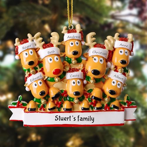 witfox Personalisierte Weihnachtsanhänger mit 2/3/4/5/6/7/8 Familiennamen - 2025 Kunstharz-Weihnachtsbaumschmuck Personalisierte Weihnachtskugeln Familie, Partner und Freunde8