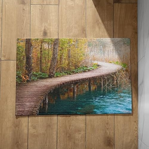Ethereval Fußmatten Haustür Bunt Fussmatte Haustür Außen Natürliche Landschaft Schmutzfangmatte Landhausstil Türmatte Name 45X75cm