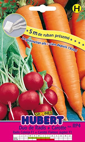 Ruban Présemé Duo de Graines de Radis Celesta F1 et Carotte Flakkee Jupiter F1