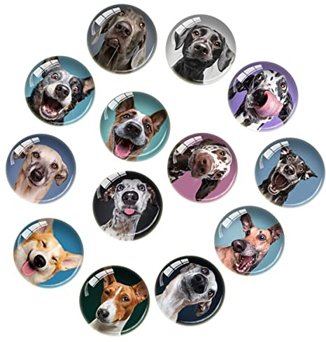 Mobestech 20 Stück Hund Kühlschrank Tier Menü Lustiger Magnet Schrank Cartoon Büro Niedlich Whiteboard Entzückendes Foto Für Nachricht Zubehör Haustier Aufkleber Kühlschrank Dekorative