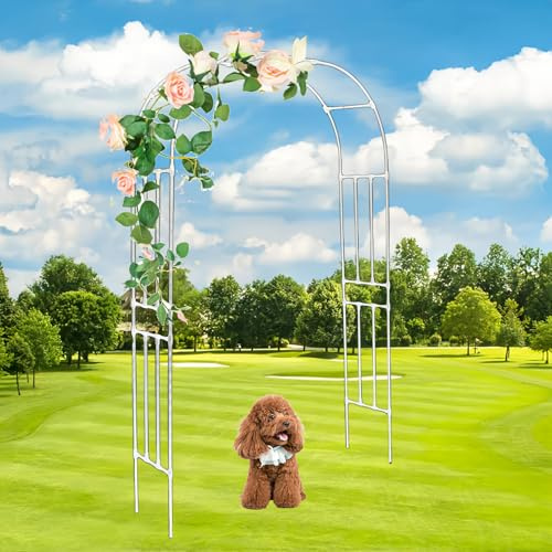 Enrejado de arco de jardín blanco resistente para plantas trepadoras al aire libre, pérgola, arco, 150 cm a 320 cm, perfecto para bodas y eventos y diseño elegante