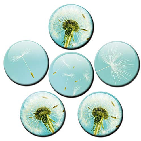 Blumen Magnete für Glasmagnettafel Extra Stark Motiv Pusteblume 6er Set Gross Rund 50mm Türkis