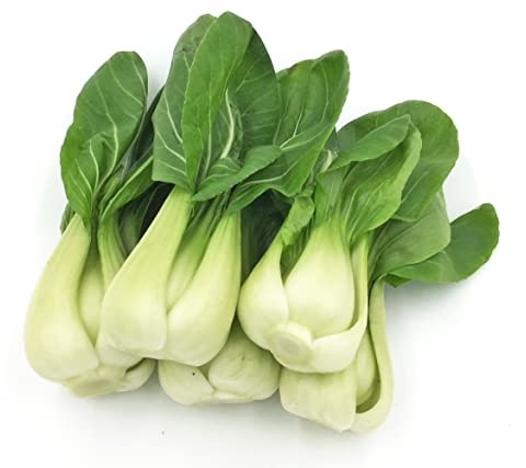 700ct+ HipGirl Baby Bok Choy Seeds for Sprouting,Cabbage Seeds for Planting,Microgreen Seed Planting for Home Vegetable Garden-Pak Choi Shanghai(上海青江菜) 2g, Sow in Fall/Spring.