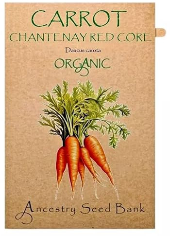 Organic Carrot ❁ Chantenay Red Core ❁ 150 Seeds Heirloom - Non GMO